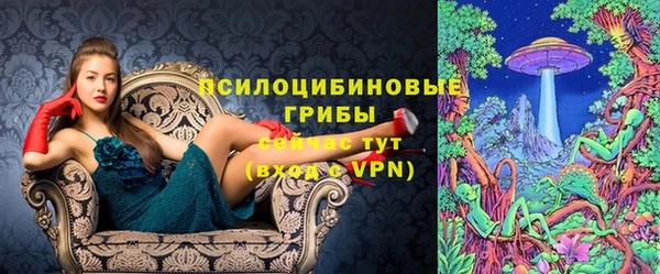 прущая мука Белокуриха