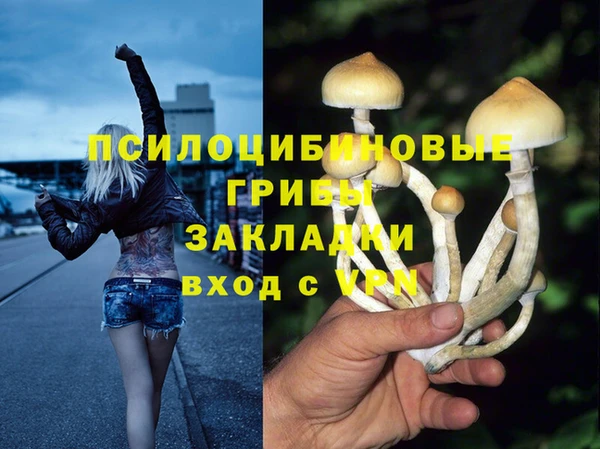 бошки Богородск
