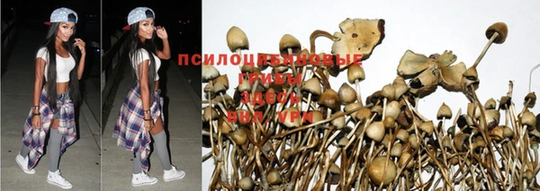 спайс Переславль-Залесский