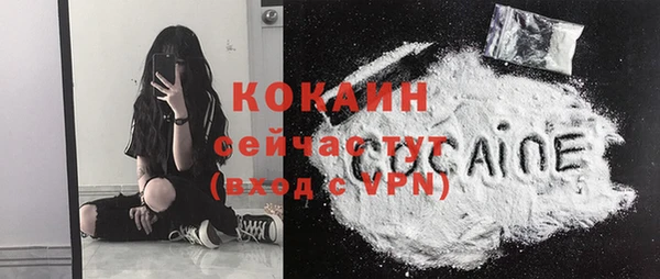 стафф Богородицк