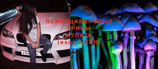 прущая мука Белокуриха